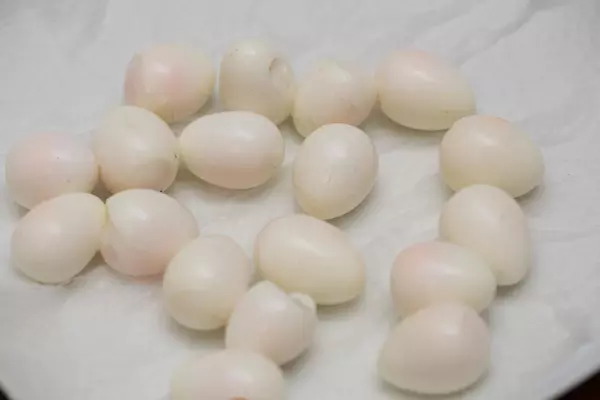 Wachtelei 鹌鹑蛋