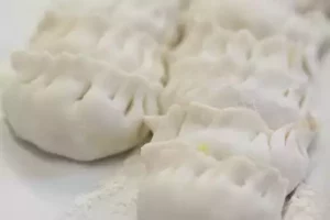 Jiaozi - raw
