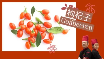 Gojibeeren 枸杞子