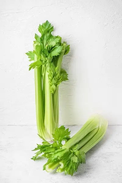 Staudensellerie - 芹菜